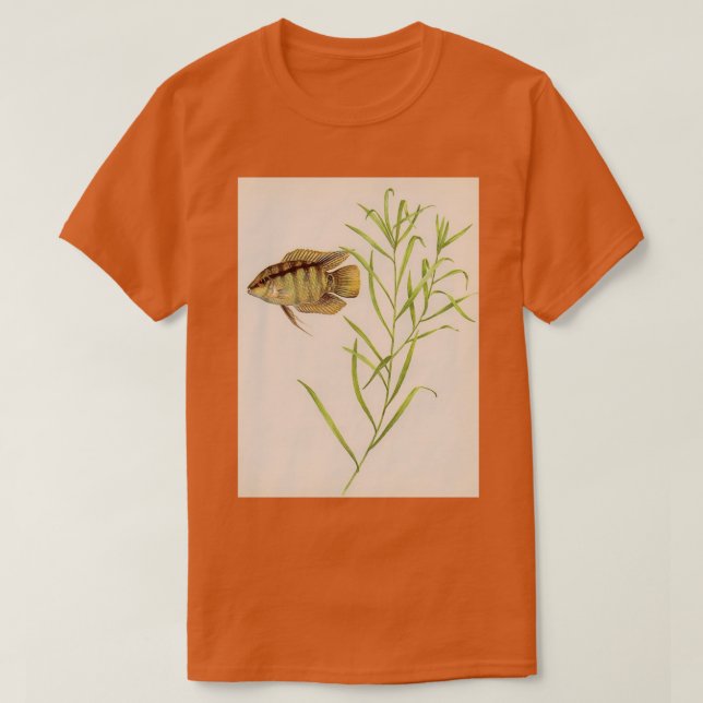 Flag Zichlid Mesonauta festivus T-Shirt (Design vorne)