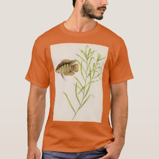 Flag Zichlid Mesonauta festivus T-Shirt