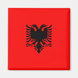 Flagge Albaniens Magnet