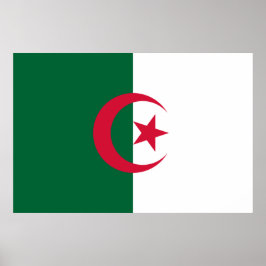 Flagge Algeriens Poster