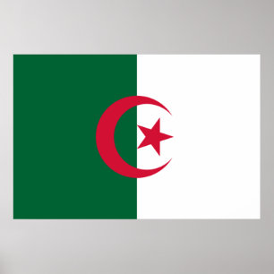 Flagge Algeriens Poster