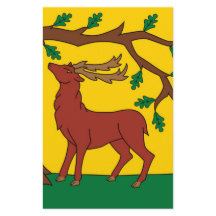 Flagge Berkshire (Vereinigtes Königreich)