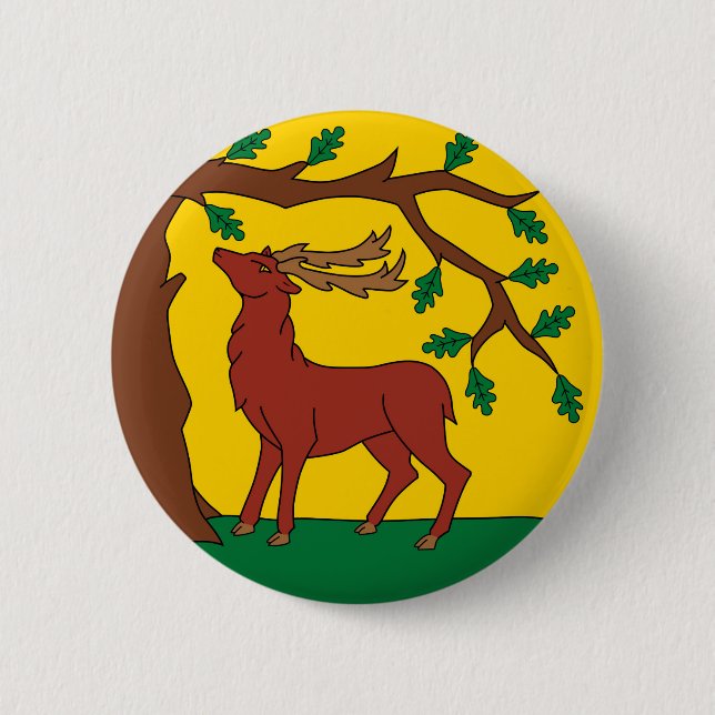 Flagge Berkshire (Vereinigtes Königreich) Button (Vorderseite)