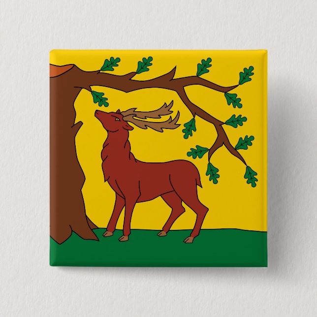 Flagge Berkshire (Vereinigtes Königreich) Button (Vorderseite)