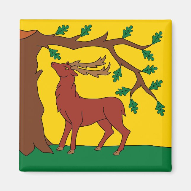 Flagge Berkshire (Vereinigtes Königreich) Magnet (Vorne)
