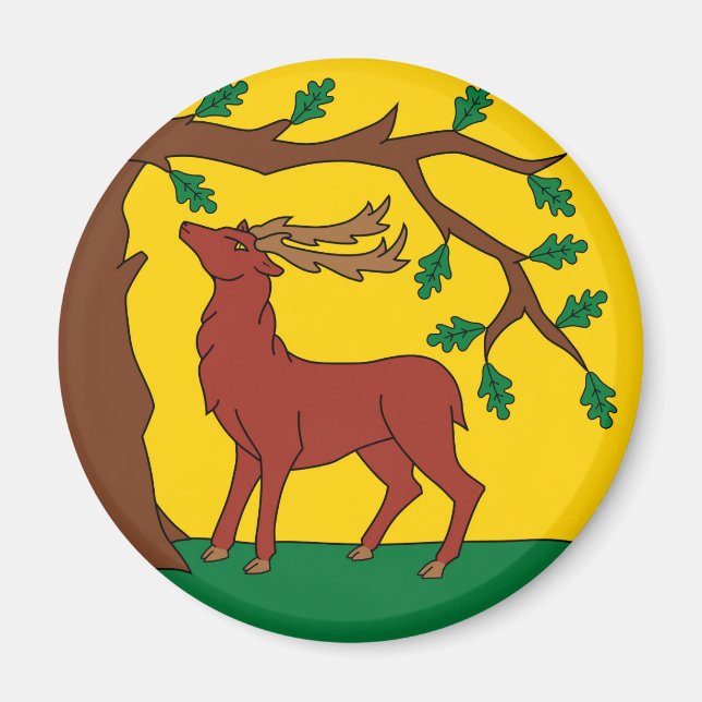Flagge Berkshire (Vereinigtes Königreich) Magnet (Vorne)