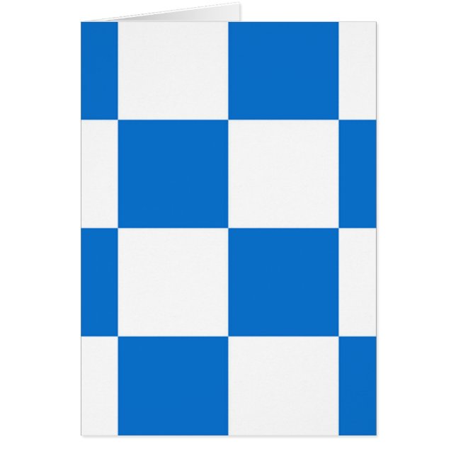 Flagge Dalfsens (Vorne)