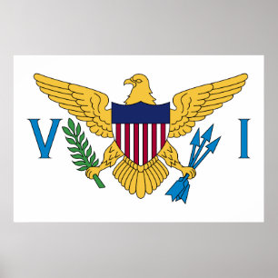 Flagge der Amerikanischen Jungferninseln Poster