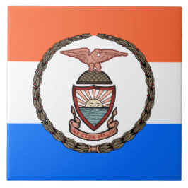 Flagge der Bronx (Borough in New York City) Fliese