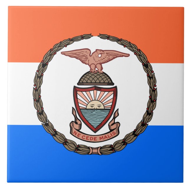 Flagge der Bronx (Borough in New York City) Fliese (Vorderseite)