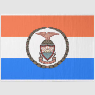 Flagge der Bronx (Borough in New York City) Seidenpapier