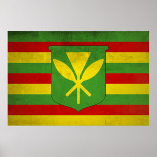 Flagge der indigenen Hawaiianer Poster