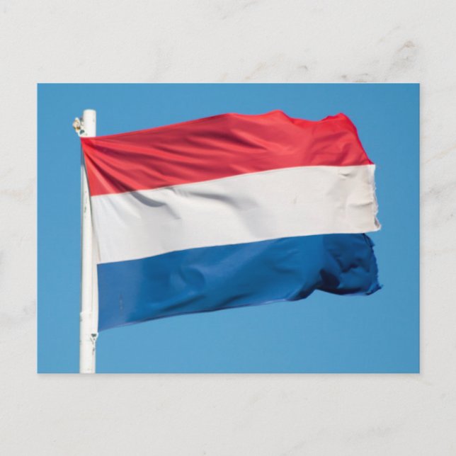 Flagge der Niederlande Postkarte (Vorderseite)