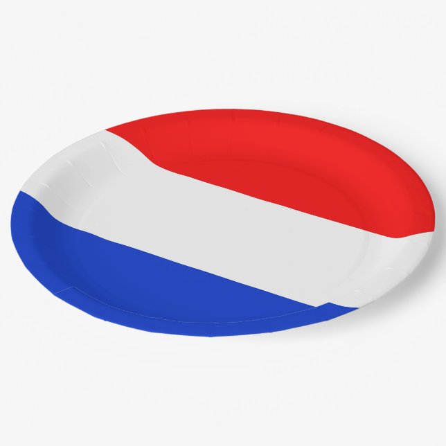Flagge der Niederländischen Platte Pappteller (Schrägansicht)