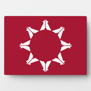 Flagge der Oglala Lakota Sioux Fotoplatte