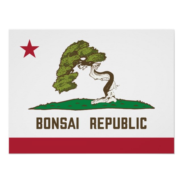 Flagge der Republik Bonsai Poster (Vorderseite)