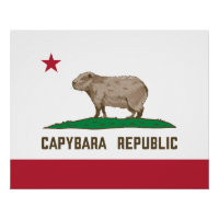 Flagge der Republik Capybara