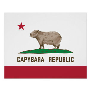Flagge der Republik Capybara Poster