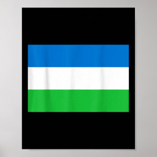 Flagge der Republik Molossia Poster