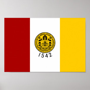 Flagge der Stadt San Diego Poster