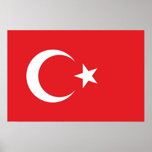 Flagge der Türkei Poster