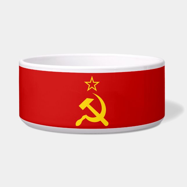 Flagge der UdSSR - sowjetische Gewerkschaft Napf (Vorderseite)