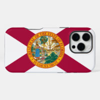 Flagge des Bundesstaates Florida