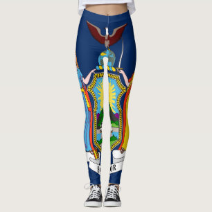 Flagge des Bundesstaates New York Leggings