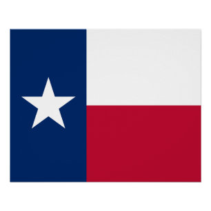 Flagge des Bundesstaates Texas Poster