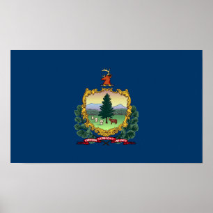 Flagge des Bundesstaates Vermont Poster
