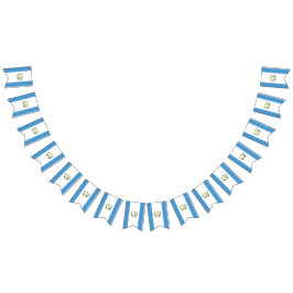 Flagge des Guatemalas