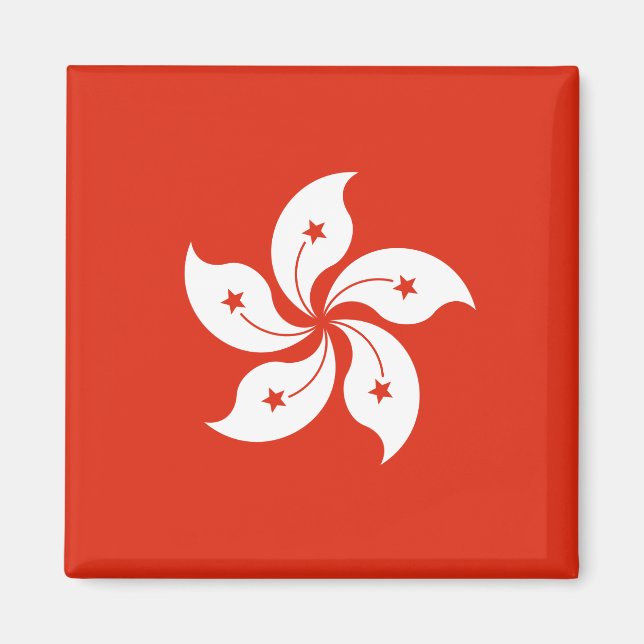 Flagge des Hongkonger Magnet (Vorne)