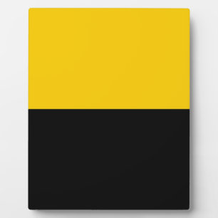 Flagge des IJsselstein Fotoplatte
