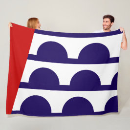 Flagge des Moines (Iowa City) Fleecedecke
