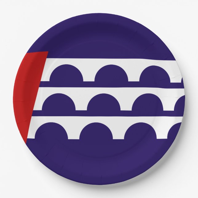 Flagge des Moines (Iowa City) Pappteller (Vorderseite)