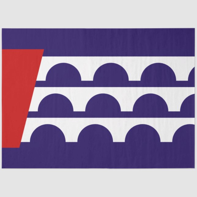 Flagge des Moines (Iowa City) Seidenpapier (Vorderseite)