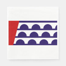 Flagge des Moines (Iowa City)