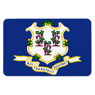 Flagge des Staates Connecticut Magnet