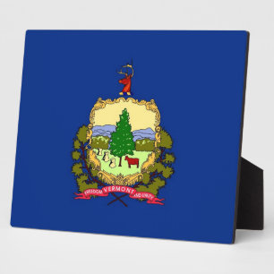 Flagge des Staates Vermont Fotoplatte