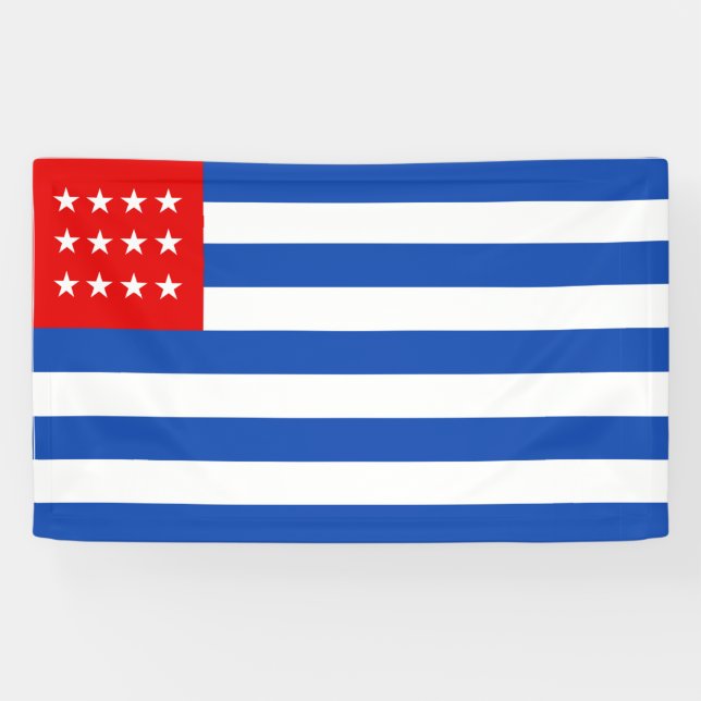 Flagge El Salvadors (1869-1873) Banner (Horizontal)