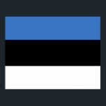 Flagge Estlands Poster<br><div class="desc">Estnische Flagge,  Estland,  Tallinn,  Valletta,  Wappen,  Europa,  Finnland,  Flagge,  baltisch,  rustikal,  Reise,  Abenteuer,  Kultur,  Latvia,  Tier,  Tier,  Tier,  Vintag,  erkunden,  wandern,  Mutter Erde,  Umwelt,  Erhaltung,  wild lebende Tiere, </div>