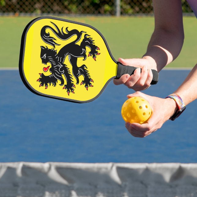 Flagge Flanderns Pickleball Schläger (InSitu)