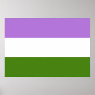 Flagge für Genderqueer Poster