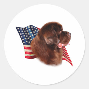 Flagge für Neufundland (braun) Runder Aufkleber