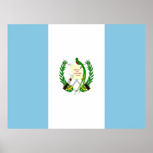 Flagge Guatemalas Poster (Vorne)