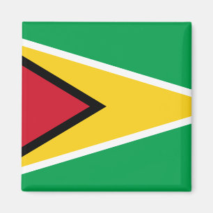 Flagge Guyana (Guyana) Magnet