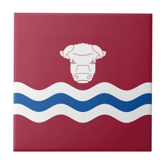 Flagge Herefordshire (Landkreis des Vereinigten Kö Fliese (Vorderseite)
