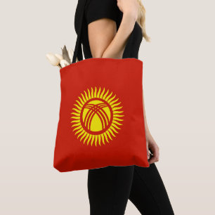 Flagge Kirgisistans