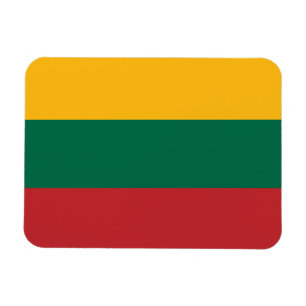 Flagge Litauens Magnet