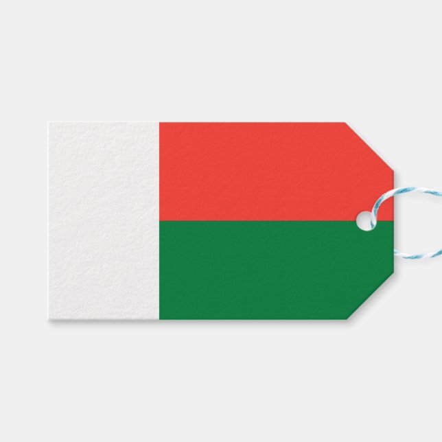 Flagge Madagaskars Geschenkanhänger (Vorderseite (Horizontal))